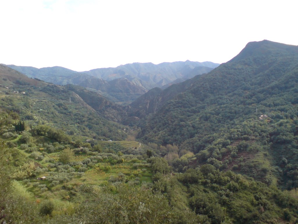 Torrente silimò in fondo la polveriera by Paolo Arno