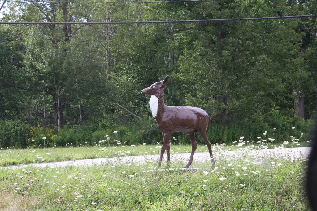 Site of the Deer Inn by D.Campbell