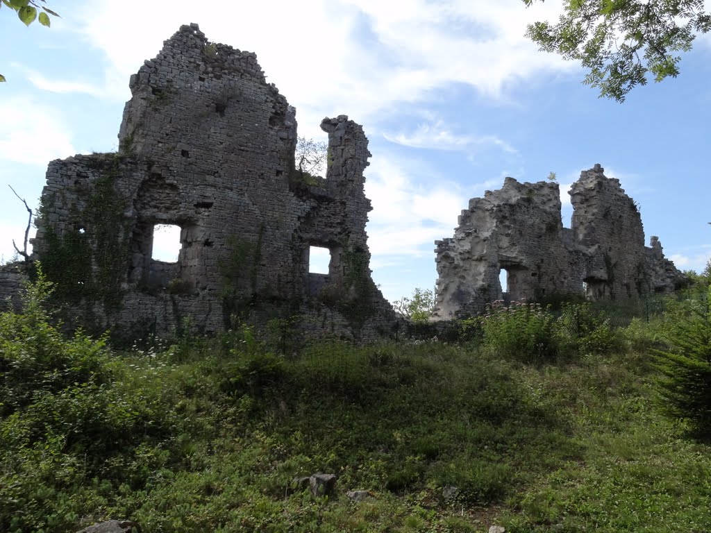 Château de la tour-du-Meix by pierre391