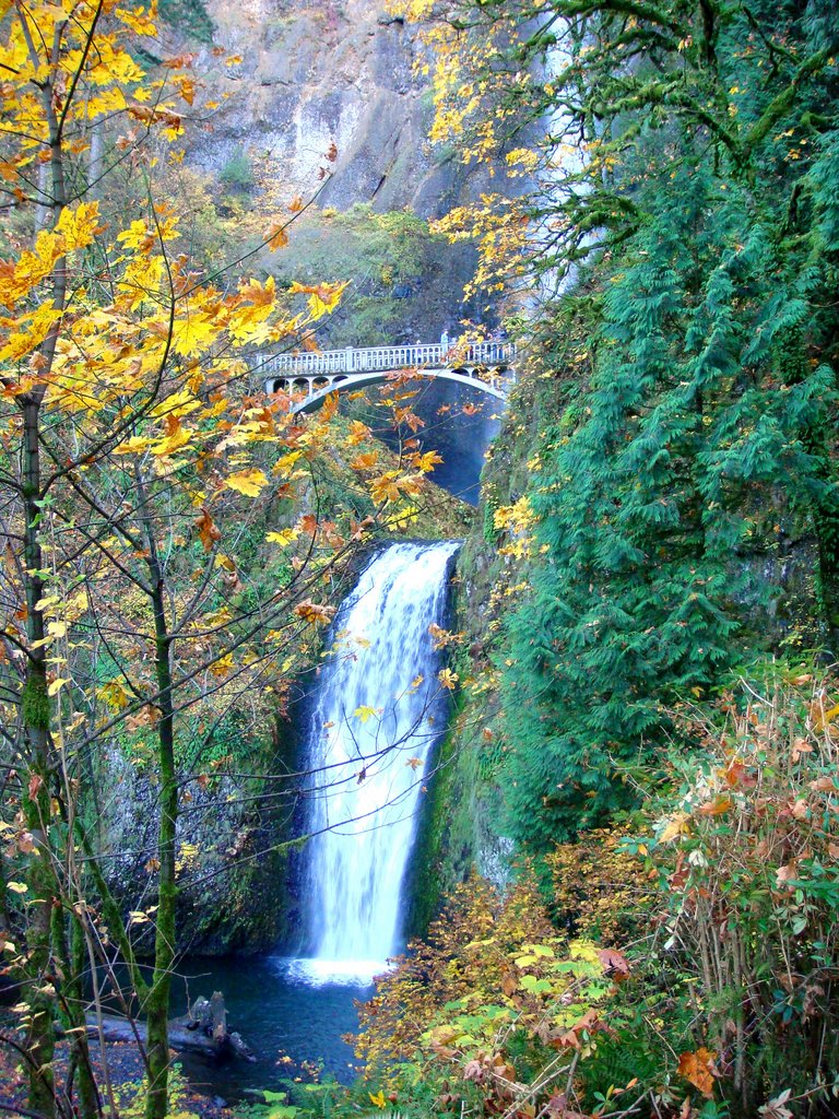 Lower Falls - Multnomah Falls by DeEtte Fisher