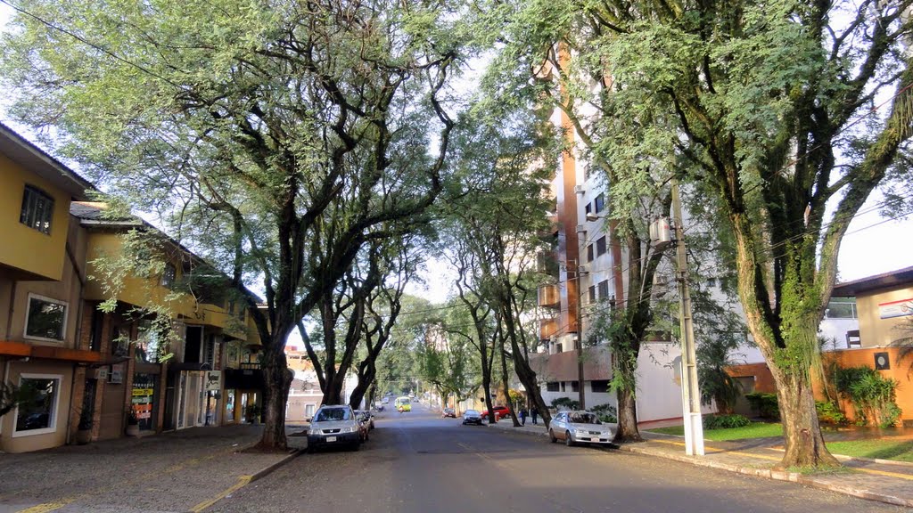 BRASIL Rúa M. Deodoro, Foz de Iguaçú by Talavan