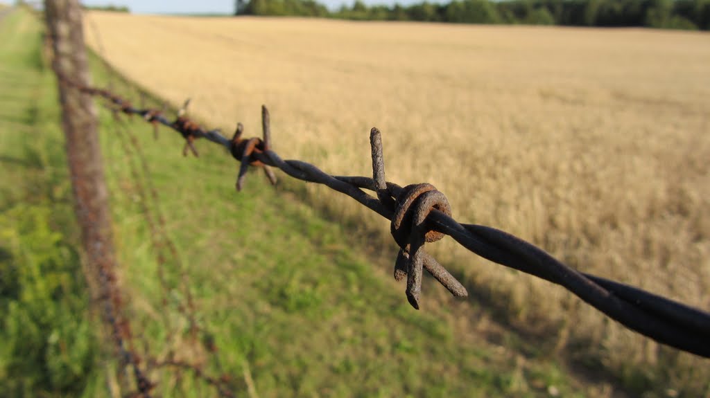 Eiserne vorhang / The iron curtain / Železná opona by Daniela Tejčková