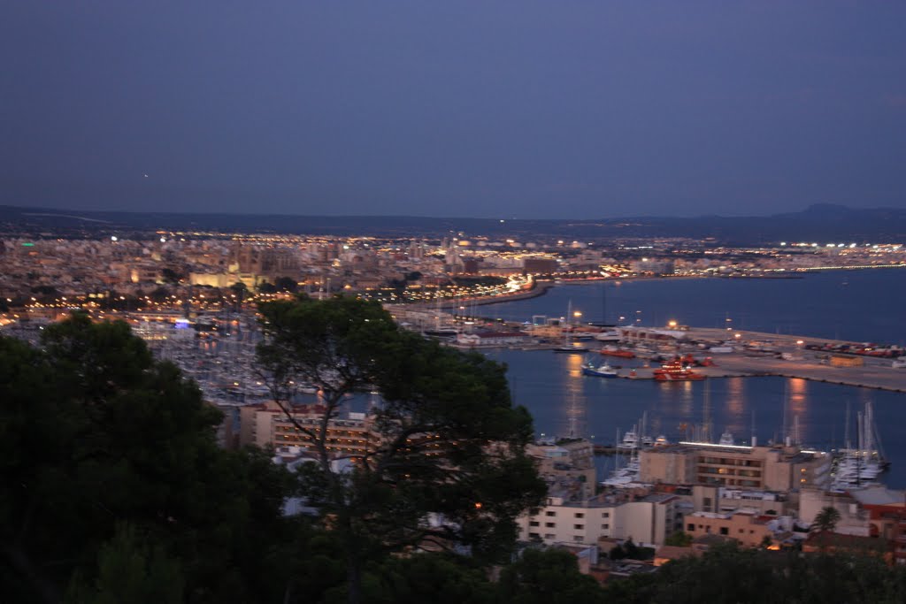 Palma 2011 by arnaboldi