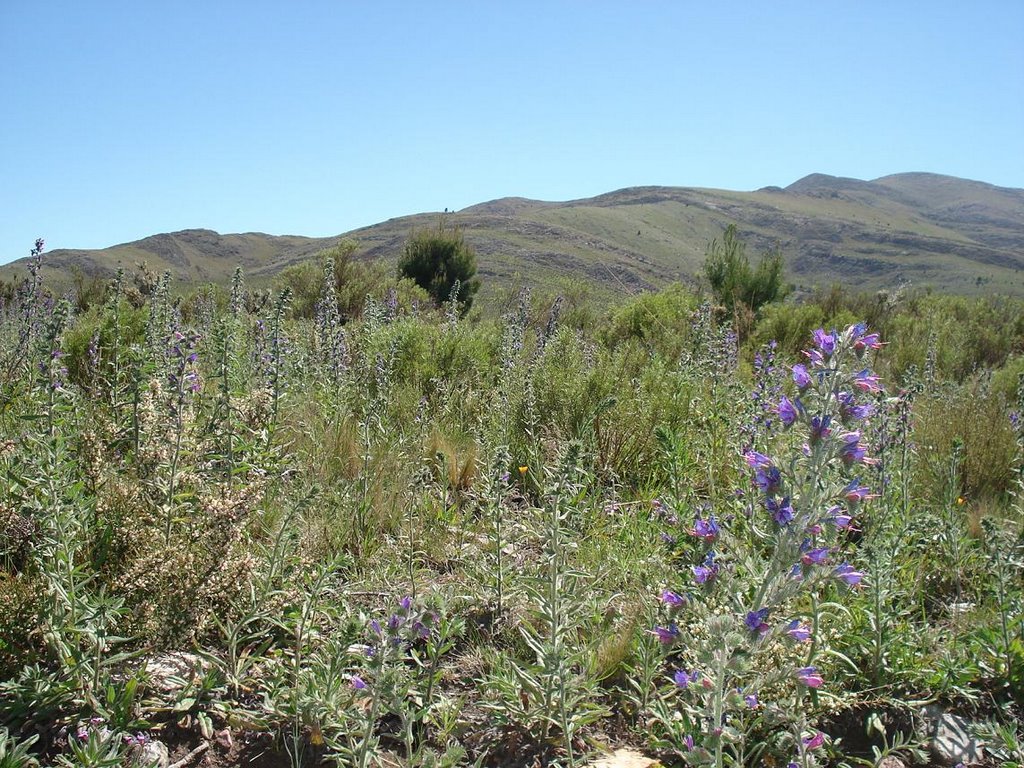 Sierras de la Ventana - Buenos Aires - Argentina (NJ) by J. Nicolas Juarez