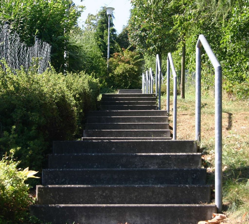 Daubach/Ww, Verbindungstreppe: Hauptstraße-/-Hochstraße by Dieter Wick