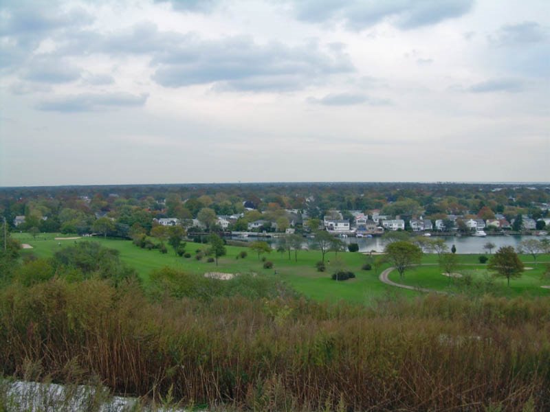 Norman Levy Preserve by mortonfox