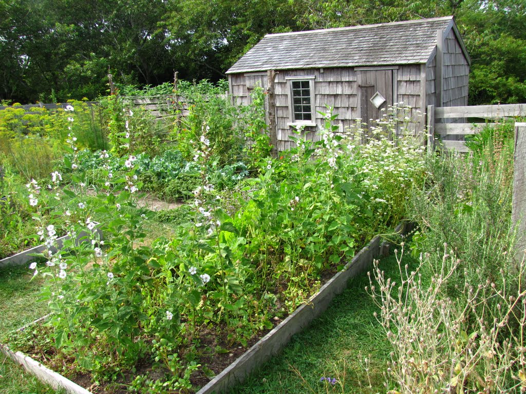 Jethro Coffin Raised Garden by Chris Sanfino