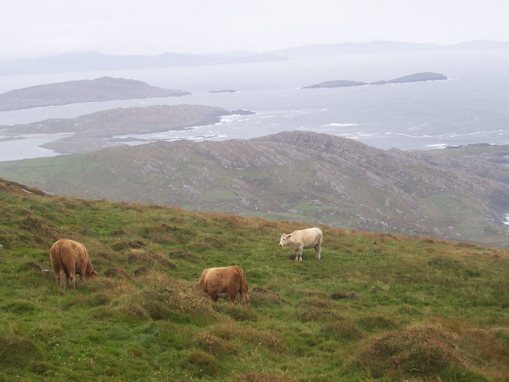 Ring of Kerry View by DonRi