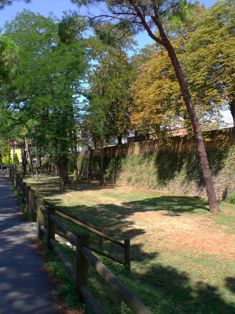 Faenza - Via Lapi - Mura Manfrediane/ The ancient walls (14/08/2011) by esse est reminisci (SAVE PANORAMIO)