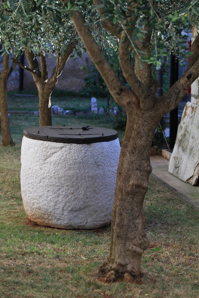 Seget, Stone Vase for Storage of Olive Oil by pskusek