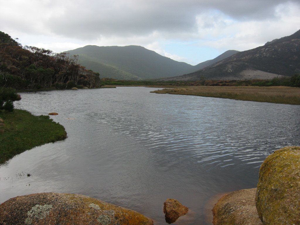 6th Ave, Tidal River VIC 3960, Australia by paranorm