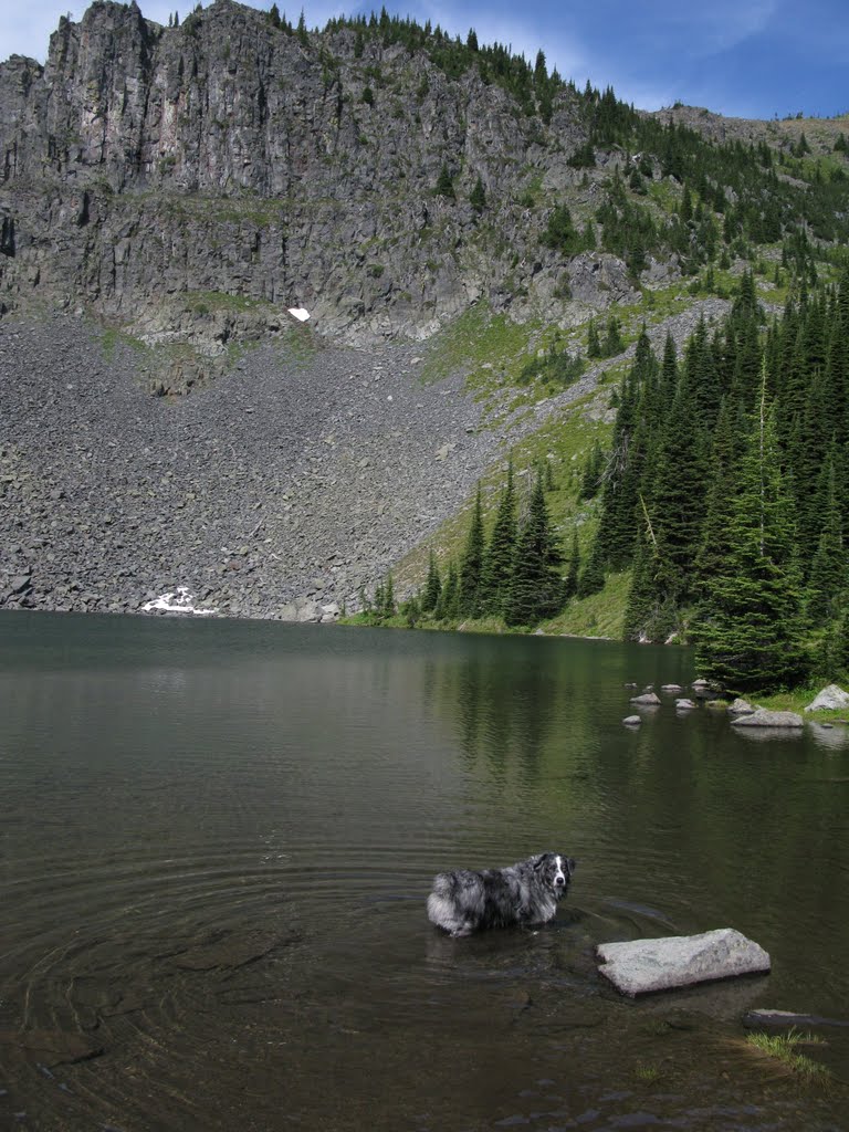 Bluebird Lake by Curt Bosket