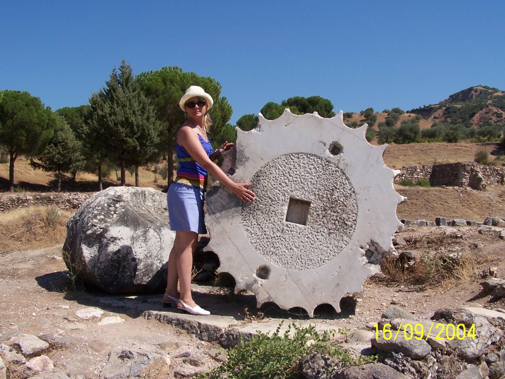 Pillar Base, Temple of Artemis, Sardes, Turkey by Miša M.