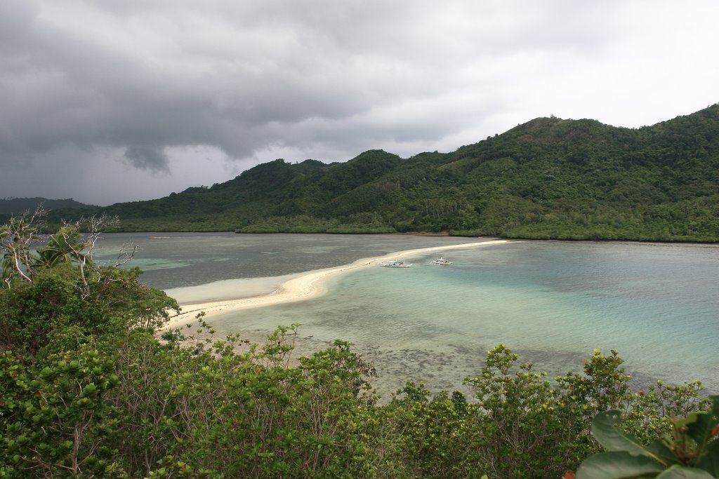 Topview of Snake Island by Richard Koo