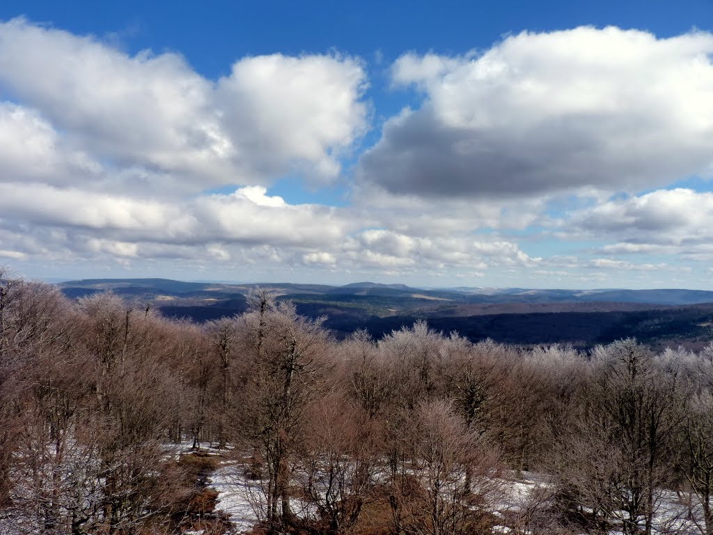 Widok ze szczytu Baraniego na Cergową. by Tony_3