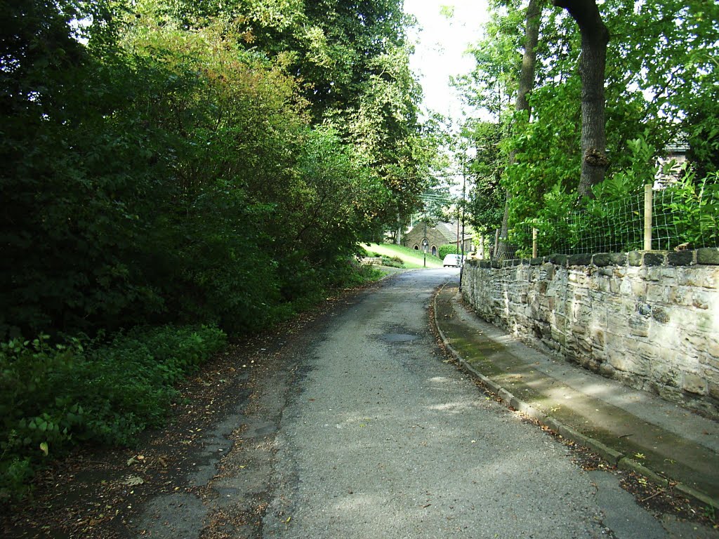 Half Moon Lane, Kirkthorpe by vonkarajan