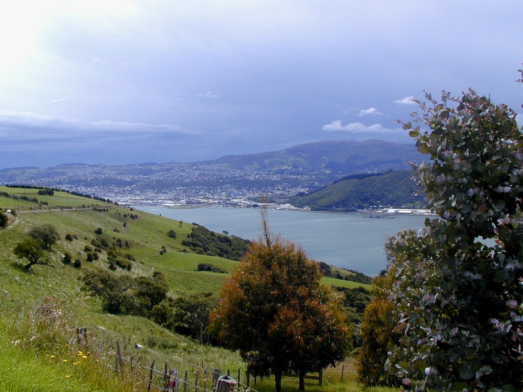 Dunedin Countryside by Hank Waxman