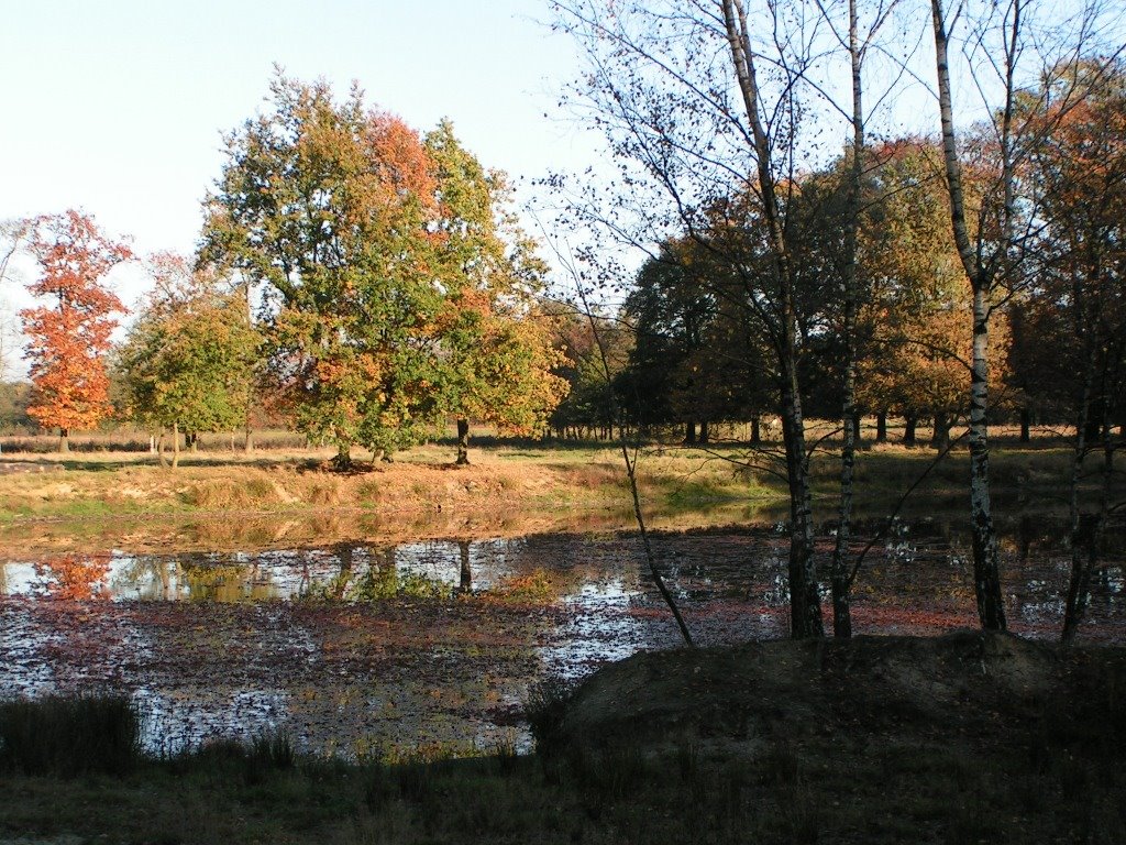 *Smeetshof: autumn 2006 by Hans Briaire