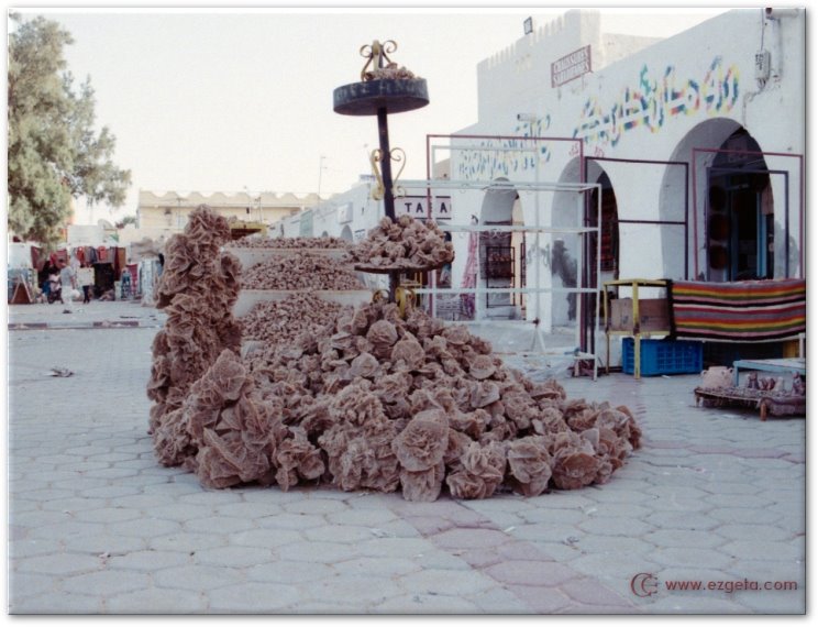 Desert Rose - a simbol of the Sahara; Douz; Tunisia; Africa; October, 2007 by © Ezgeta [www.ezgeta…