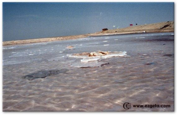 Salt-Water; Chott el-Jerid; Tunisia; Africa; October, 2007 by © Ezgeta [www.ezgeta…