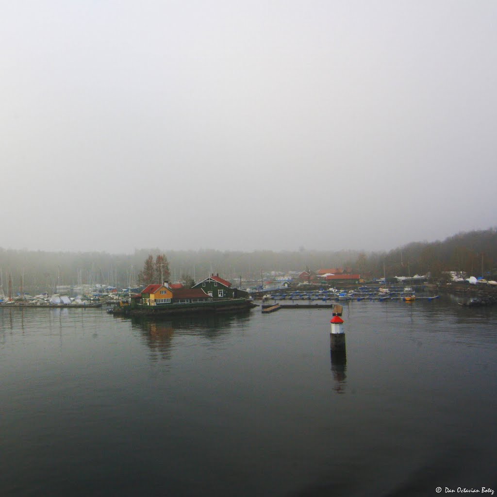 Hovedøya - foggy morning _ 0628 by dbotez