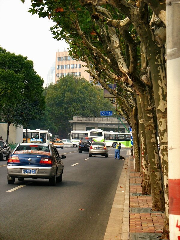 Yangpu, Shanghai, China by 王之乎