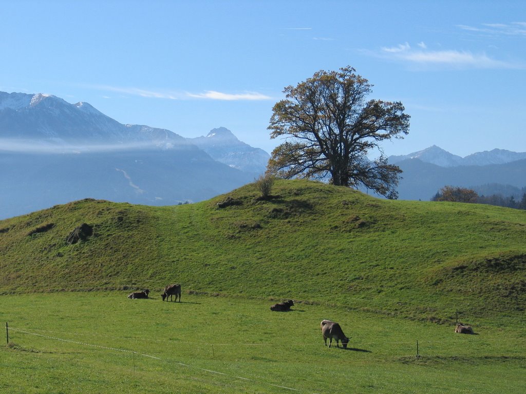 Allgäu-Schöllang ●(250°) by © Roland