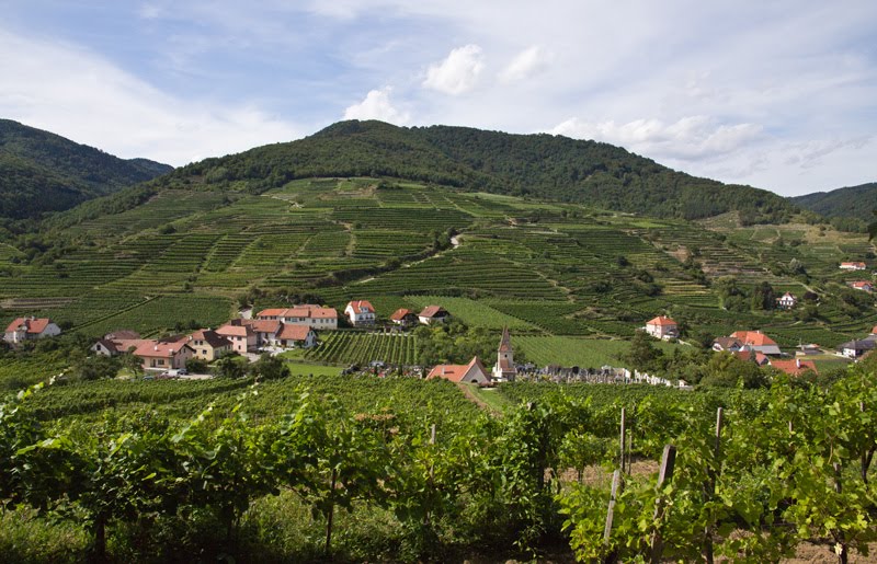 Weinberge Spitz 08-2011 by Marek1969