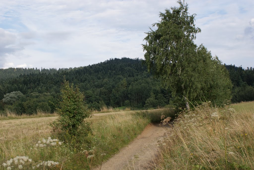 Zielony szlak - widok na Zieloną górę by skarleee