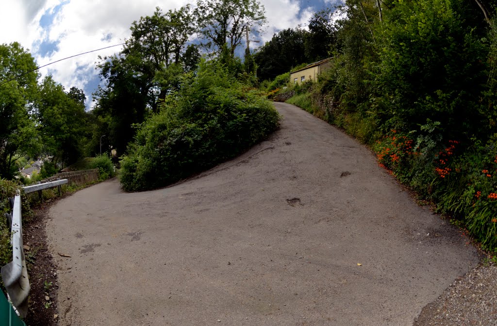 Hairpin hill by fat-freddies-cat