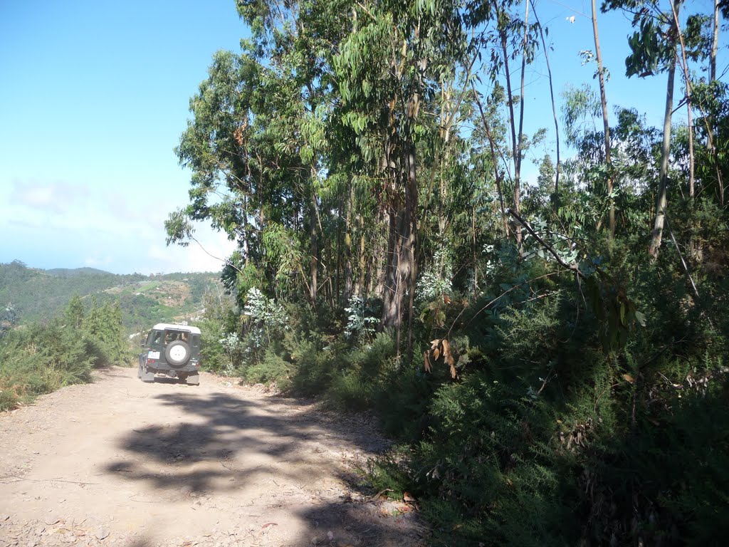 Madeira Jeepsafari by joeri Goossens