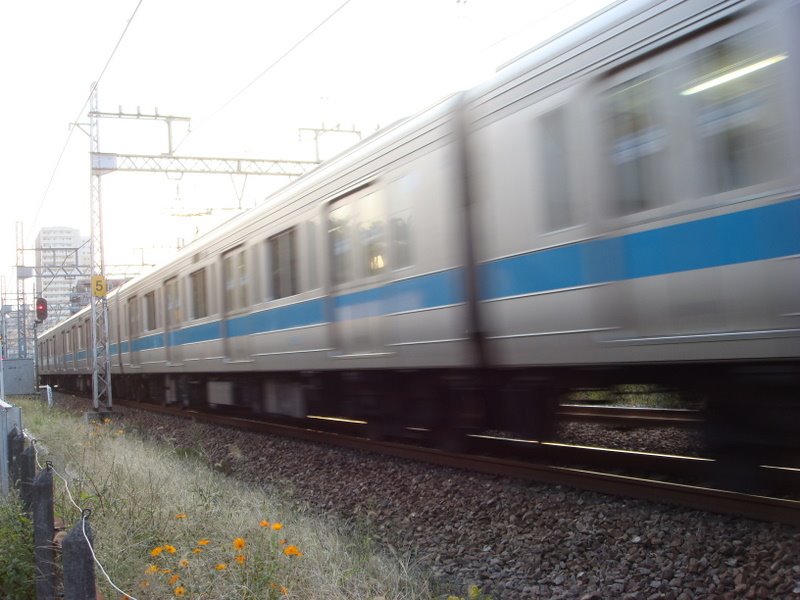 Matsugaecho, Minami Ward, Sagamihara, Kanagawa Prefecture 252-0313, Japan by tsu-asa