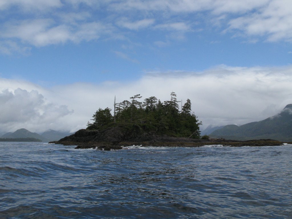 Tofino by arvidvanbokhorst