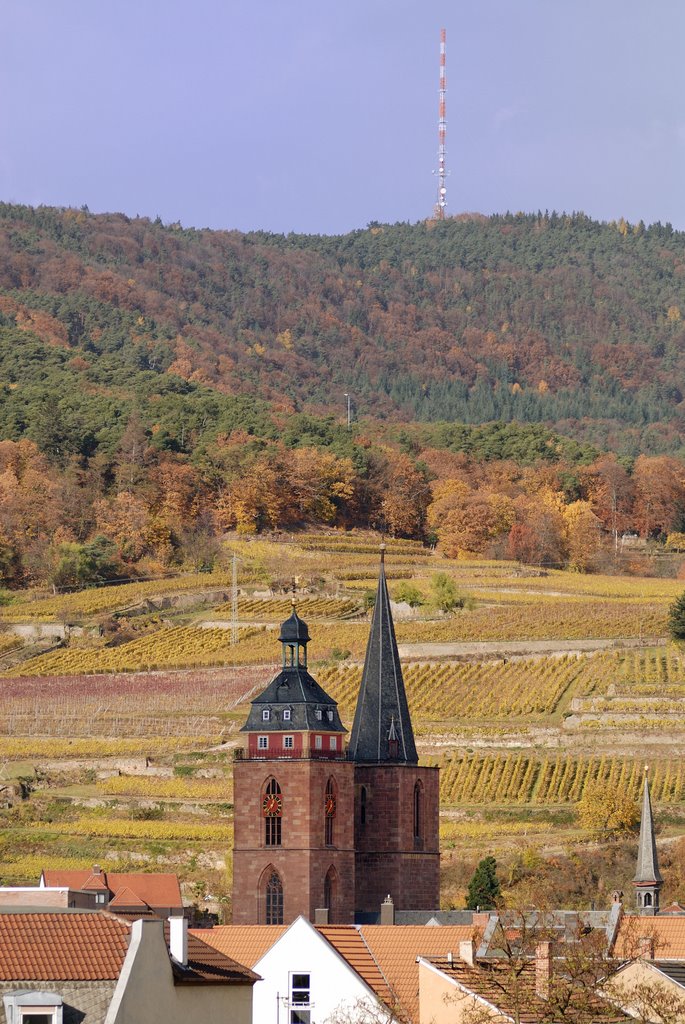 Türme der Stiftskirche mit Weinbiet im Hintergrund by Armin Huck