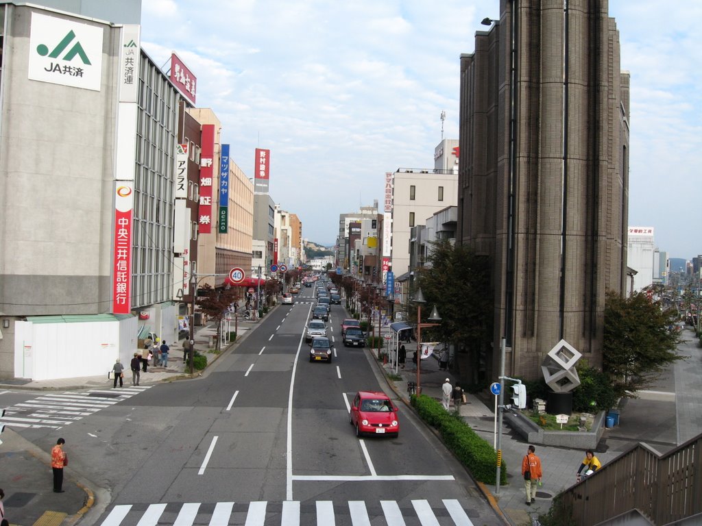 Okazaki East View by Roman Suzuki