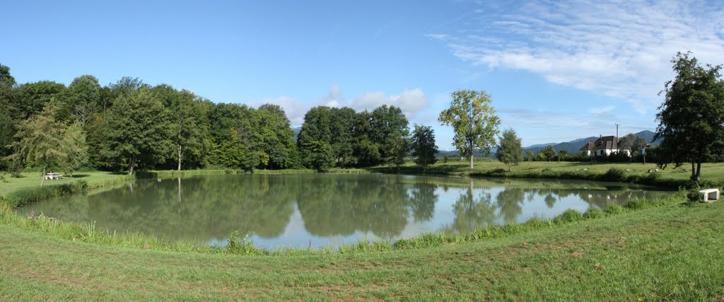 Etang d'Aspach-le-Haut by Alain Ewrard