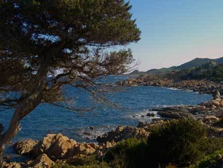 Capo Comino by sowamichael