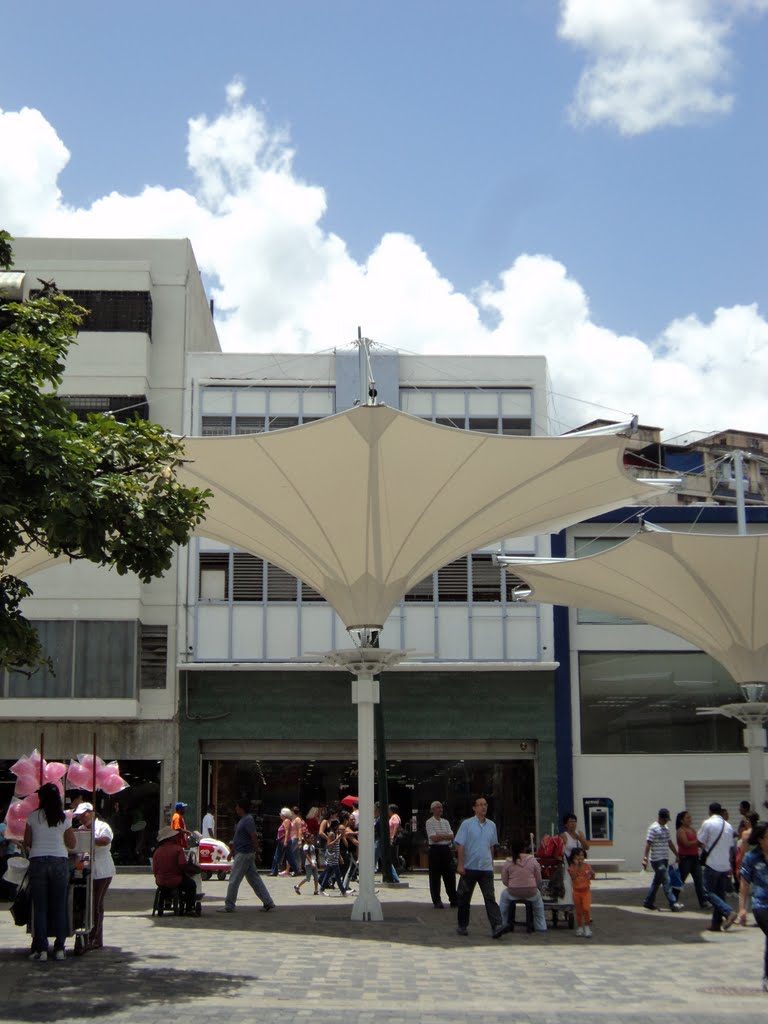 ESTRUCTURAS TENSILES EN SABANA GRANDE, CARACAS by RICHARD GOMEZ HIDALGO