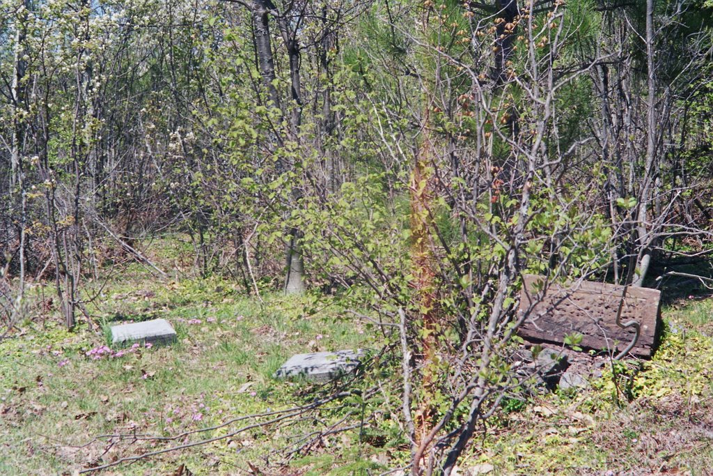 Michigan / Upper Peninsula / Calumet old Cemetery 2 by Alfred Mueller