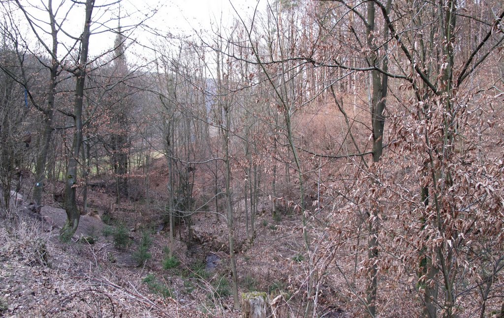 Naturschutzgebiete im Main-Tauber-Kreis (33/35): Vogelschutzgebiet beim Tremhof by lebola