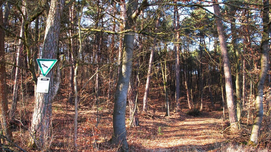 Naturschutzgebiete im Main-Tauber-Kreis (26/35): Made und Taubenloch by lebola