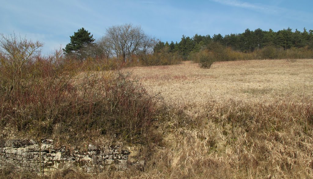 Naturschutzgebiete im Main-Tauber-Kreis (19/35): Kaltenberg by lebola