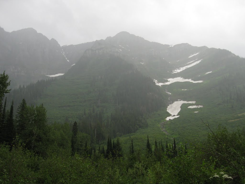 Avalanche chute on a cloudy day by Jordan Lofthouse