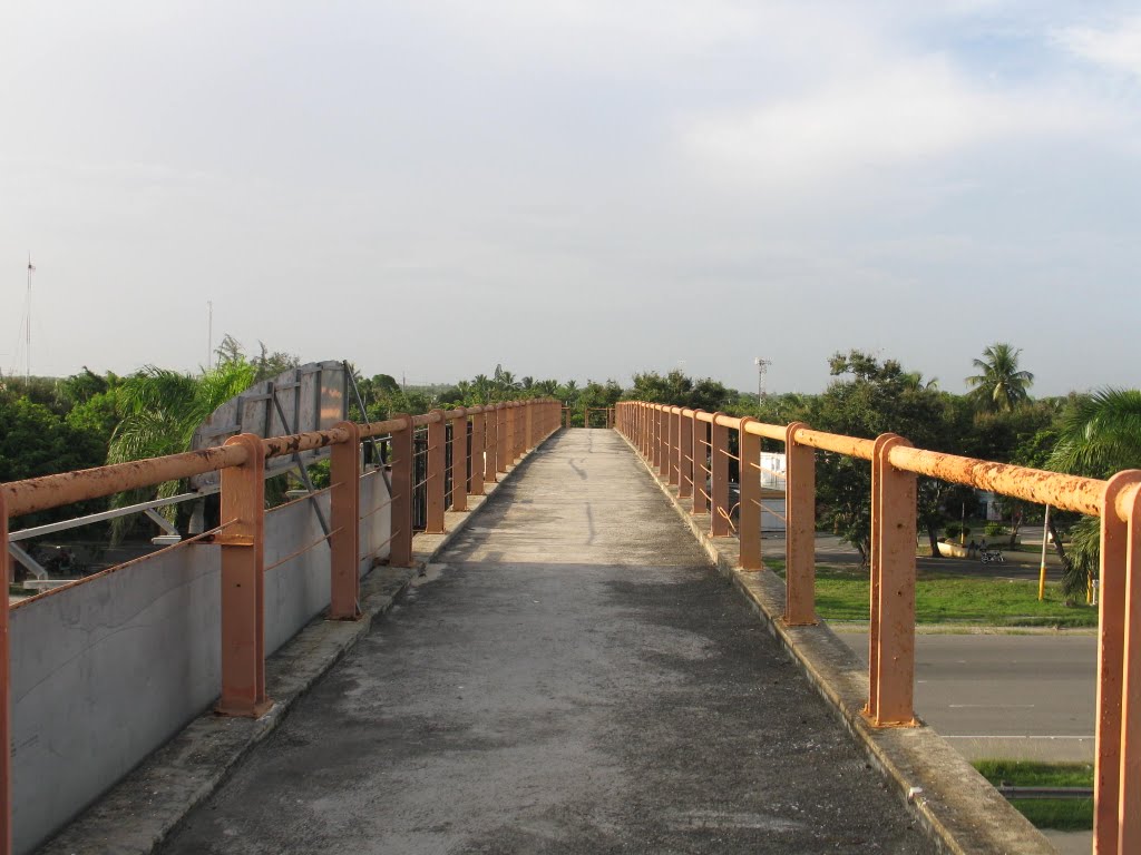 PUENTE PEATONAL, EN LA AUTOPISTA LAS AMERICA by Carlos M. Pascual