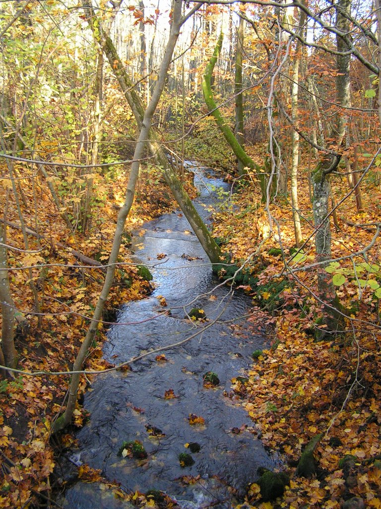 Jeksen Bæk ved Kollens Mølle by Irmgard Lorenzen