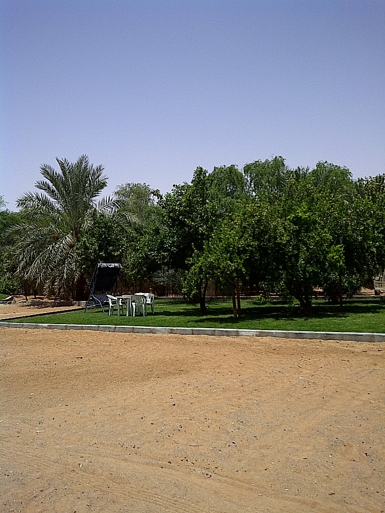 Alain Garden by Khalifa Almuhairi