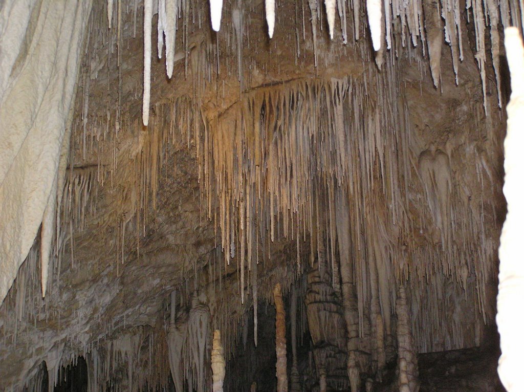 Hastings Cave by Peter Watts