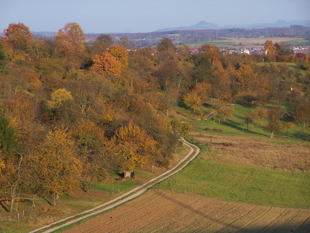 Blick ins Aüßere Tal by Hartmut Scheuter