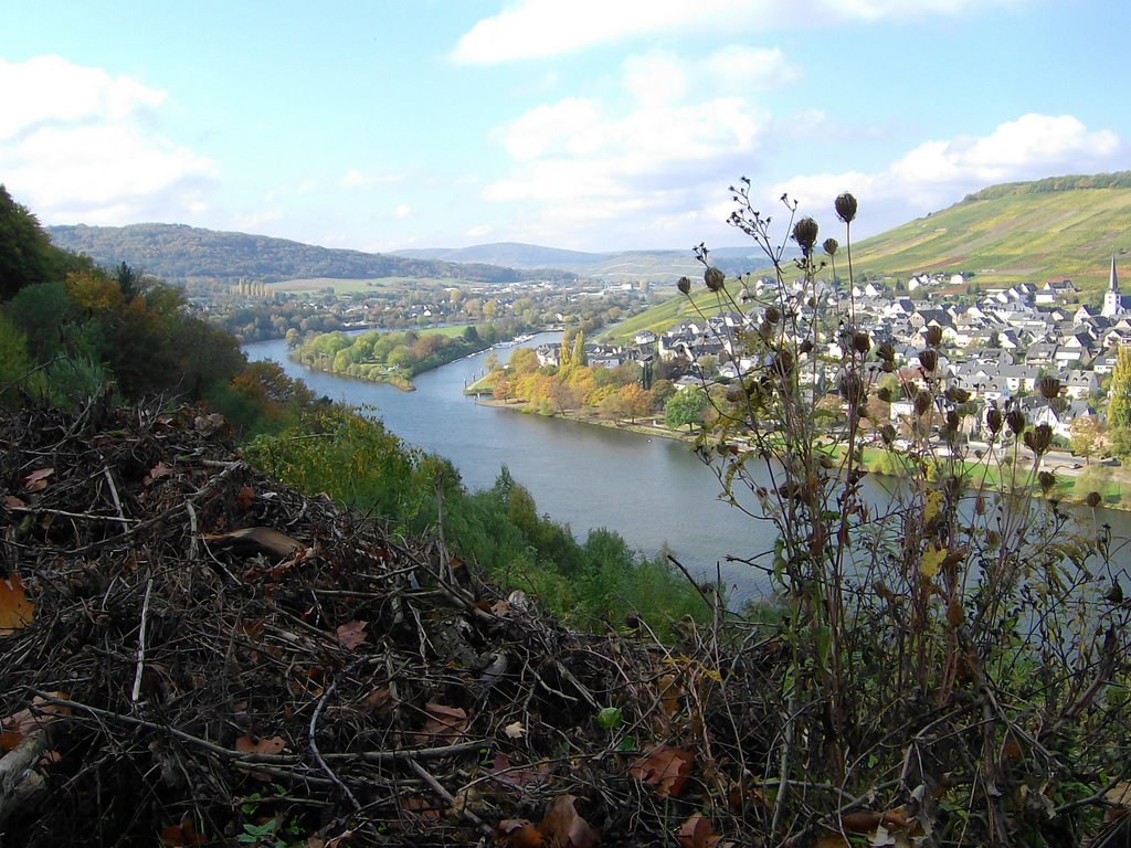 Bernkastel Kues 4 by Explorer311