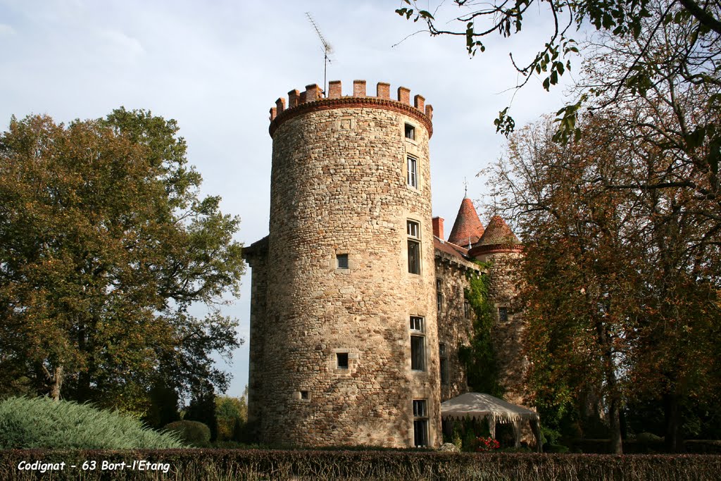 63 Bort-l'Etang - Château Codignat by H. Rebours